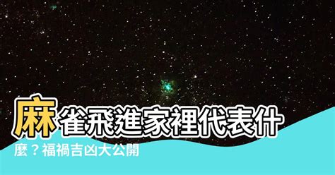 麻雀飛進家裡代表什麼|【家裡飛進麻雀】家裡飛進麻雀是什麼徵兆？進宅代表好事還是壞。